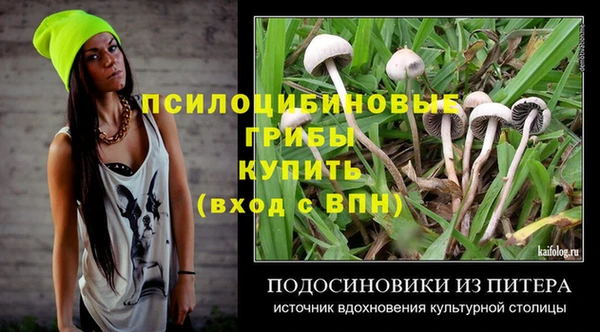 дживик Алексин