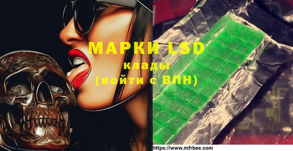 PSILOCYBIN Алзамай