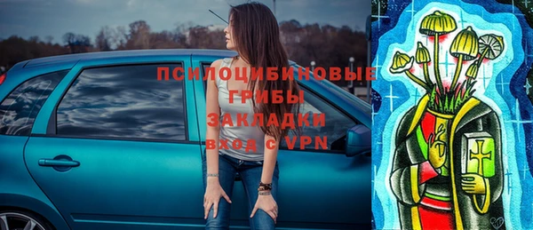 дживик Алексин