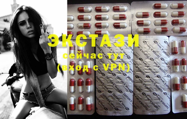 PSILOCYBIN Алзамай