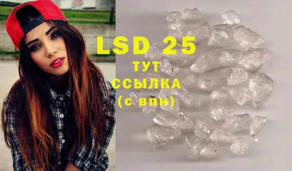 PSILOCYBIN Алзамай