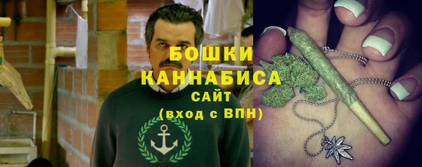 PSILOCYBIN Алзамай