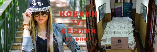 дживик Алексин